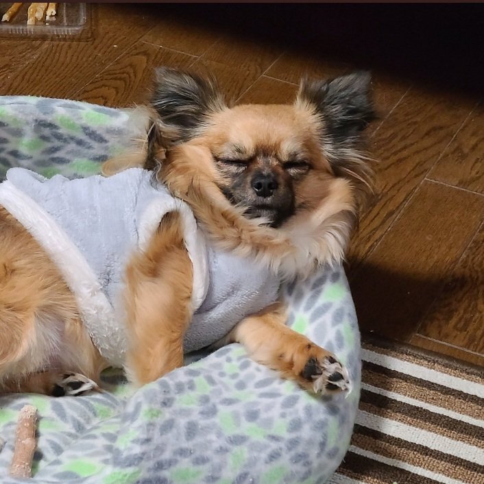 渋い顔 顔文字 渋い顔 顔文字