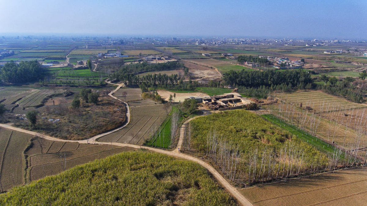 5/GUR & GAANRAIGaanrai season is Nov-Dec till Mar-AprTypical village Gaanrai needs 4-5 ppl inccane-crushercane-loaderKarray operator to stir liquidjhook-maar to keep fire lit1 round of production is called a Pur (2-3 hours)small sized gaanrai usually makes 3-4 purs/day