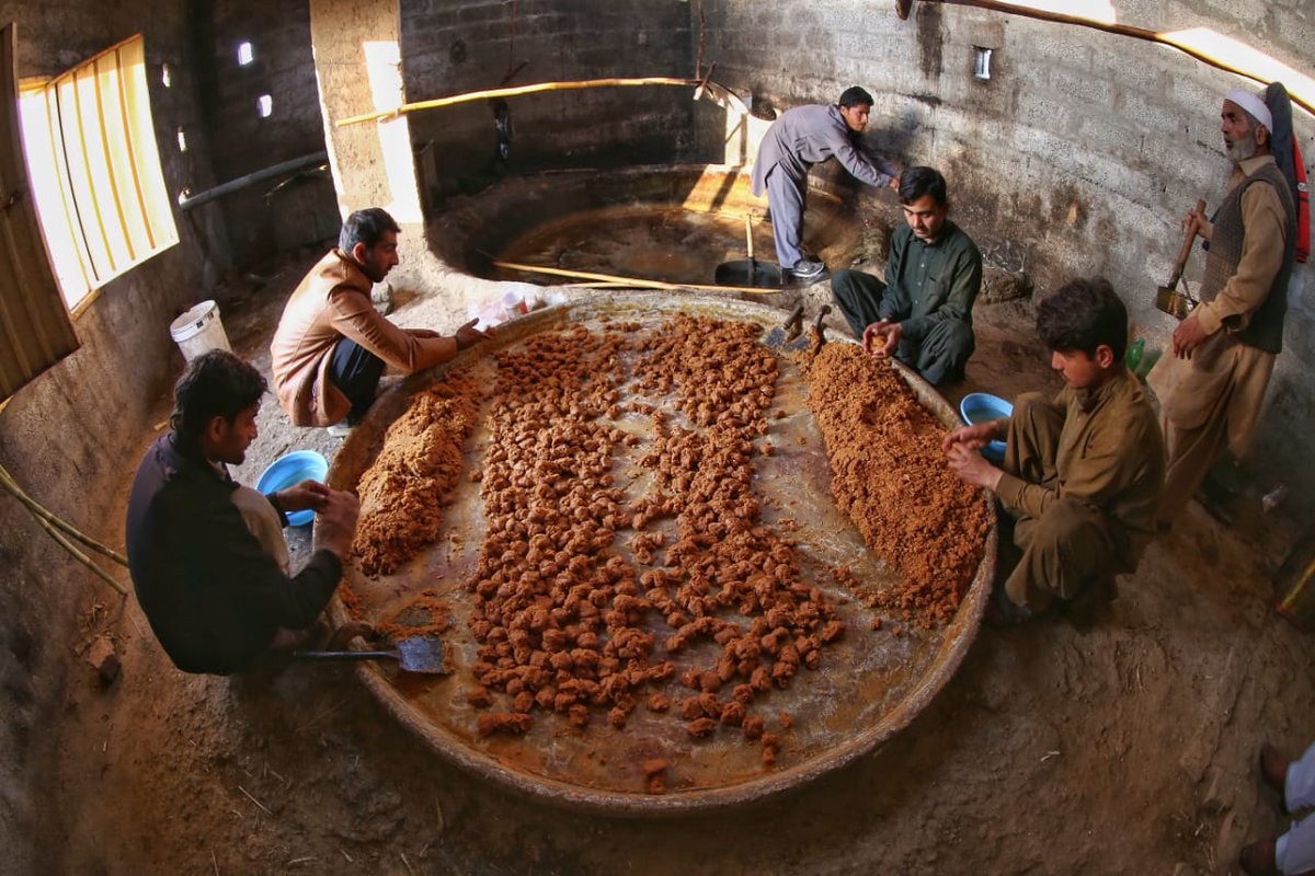 6/GUR & GAANRAI4000+ Gaanrai in Charsadda Swabi Mardan Pesh crush 1.7 Mil MT+ sugarcane producing nearly 100,000 MT GurProvide livelihood to thousandsProvide a "superfood Sweetner" healthier than refined sugar-pure, organic & naturalStory ZohaibPics  @AmirKha01737201ENDS