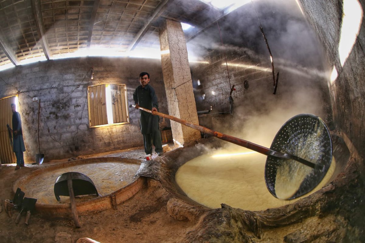 6/GUR & GAANRAI4000+ Gaanrai in Charsadda Swabi Mardan Pesh crush 1.7 Mil MT+ sugarcane producing nearly 100,000 MT GurProvide livelihood to thousandsProvide a "superfood Sweetner" healthier than refined sugar-pure, organic & naturalStory ZohaibPics  @AmirKha01737201ENDS