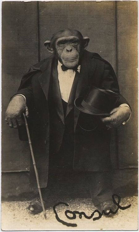 SquashedBanan's tweet photo. Unless you look like this I dont wanna hear from you https://t.co/3PiAISDHbu