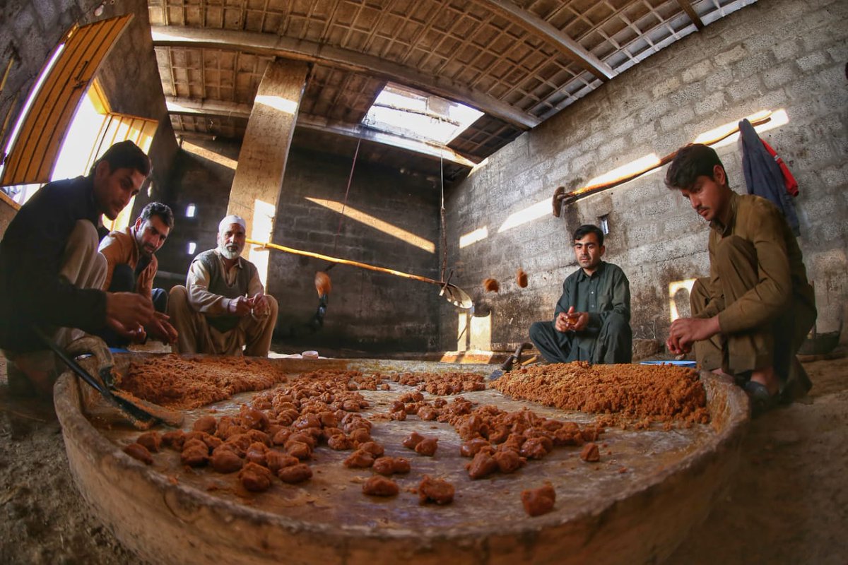 6/GUR & GAANRAI4000+ Gaanrai in Charsadda Swabi Mardan Pesh crush 1.7 Mil MT+ sugarcane producing nearly 100,000 MT GurProvide livelihood to thousandsProvide a "superfood Sweetner" healthier than refined sugar-pure, organic & naturalStory ZohaibPics  @AmirKha01737201ENDS