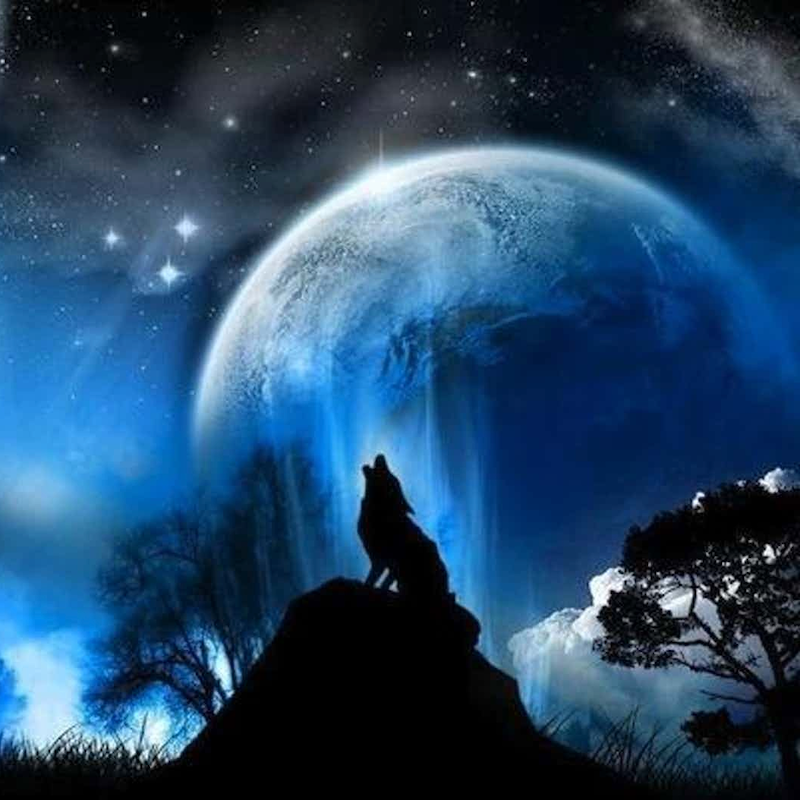 earthskyscience's tweet photo. From around the world tonight and tomorrow, watch for a full-looking moon - called the Wolf Moon - to light up the nighttime from dusk till dawn. 🌕🌌

Learn more about the Wolf Moon and how to see it in the next couple nights: https://t.co/yD4HQGnPMy

📸 Indian Country Today. https://t.co/DqBXO8NL8Y