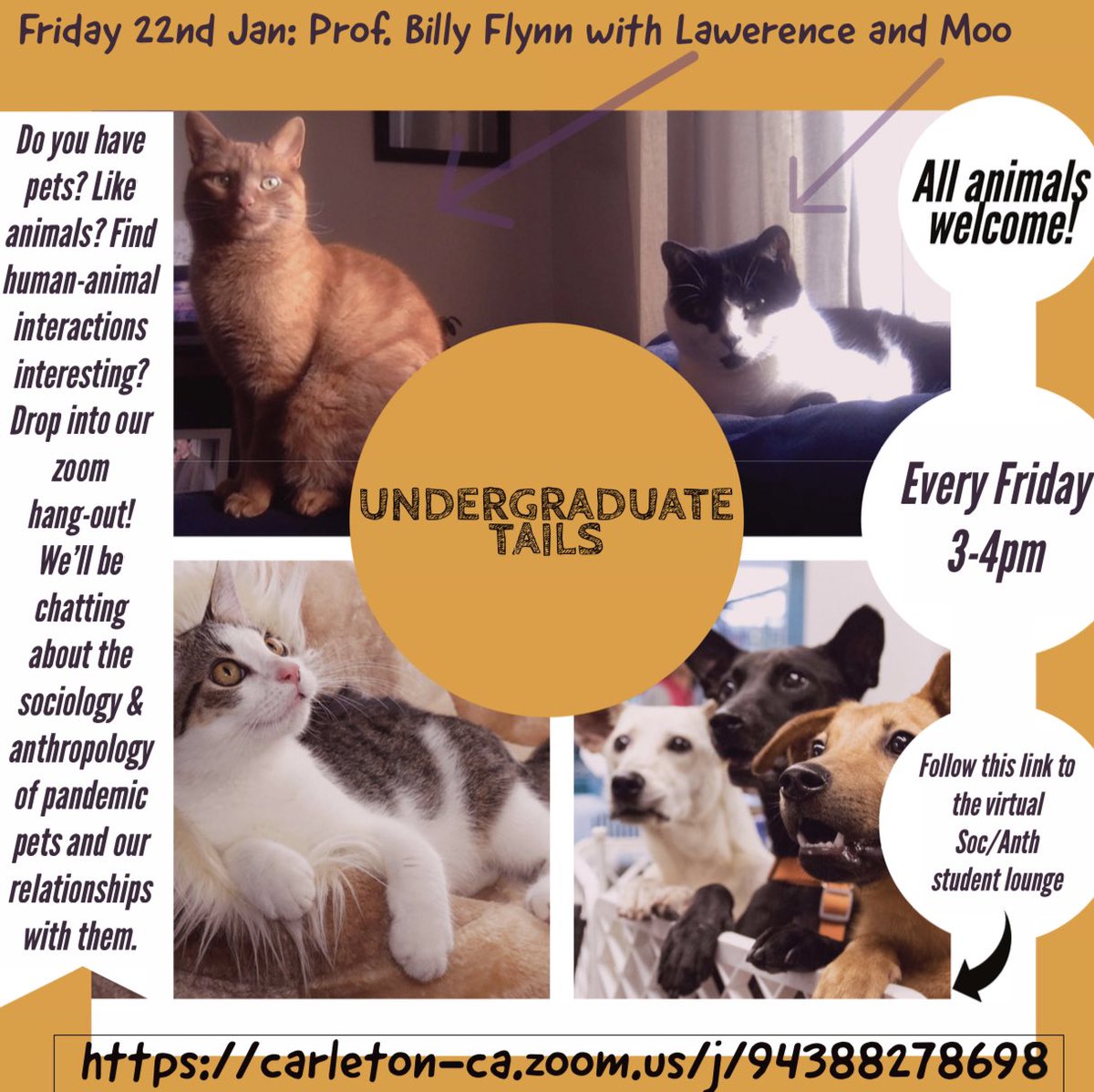 sasacu3's tweet image. Whether you have a pet you want to show off or love to look at other people’s, this is the space for you. Join Professor Flynn from the @DepartmentPod in his undergrad tails series to chat pets &amp;amp; sociology! Friday from 3-4pm &amp;amp; every Friday following! Dm us your questions 🐕‍🦺🐈🦜🐇