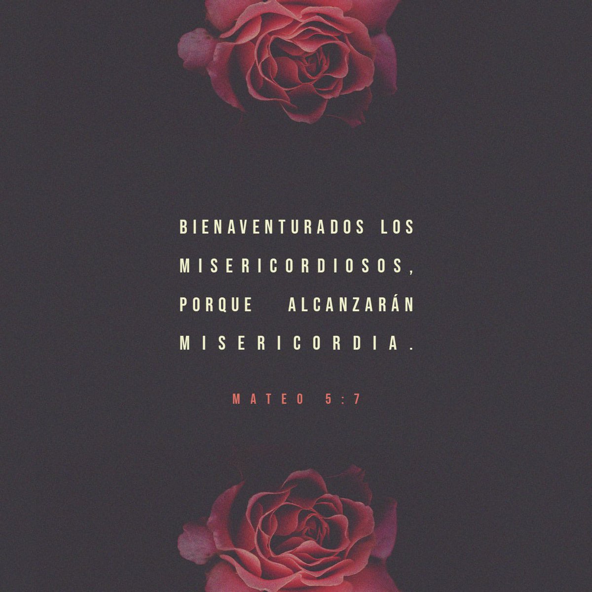 ANTO (@ANTOLINSC) / Posts / X