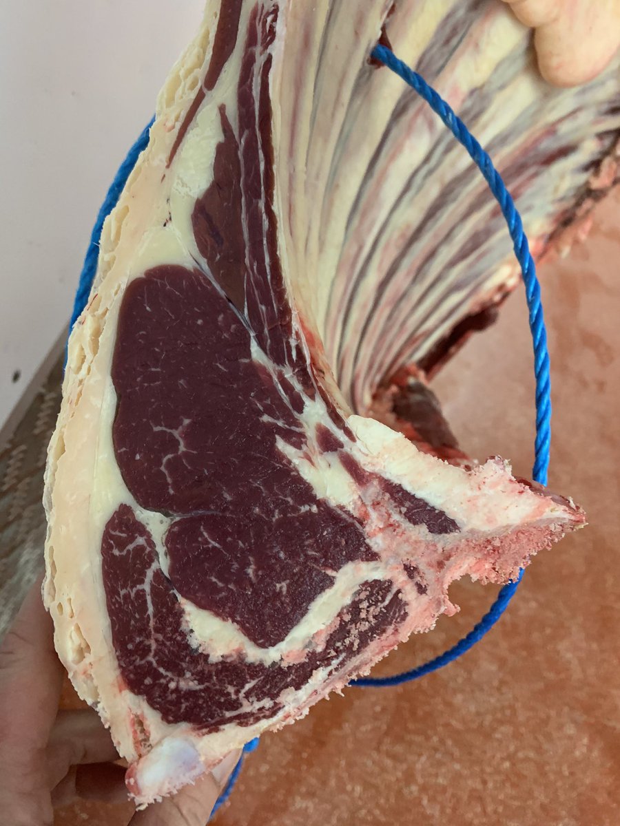 Local Dexter, Sussex and White park all heading out this week. Lamb slowing up but beef going strong 💪