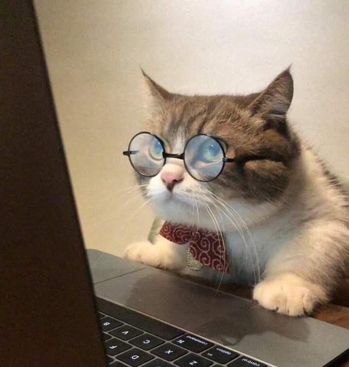 ulitenten's tweet image. เป็นแท็กที่น่ารักมากจริงๆ 🥰
#KitTENCamReact