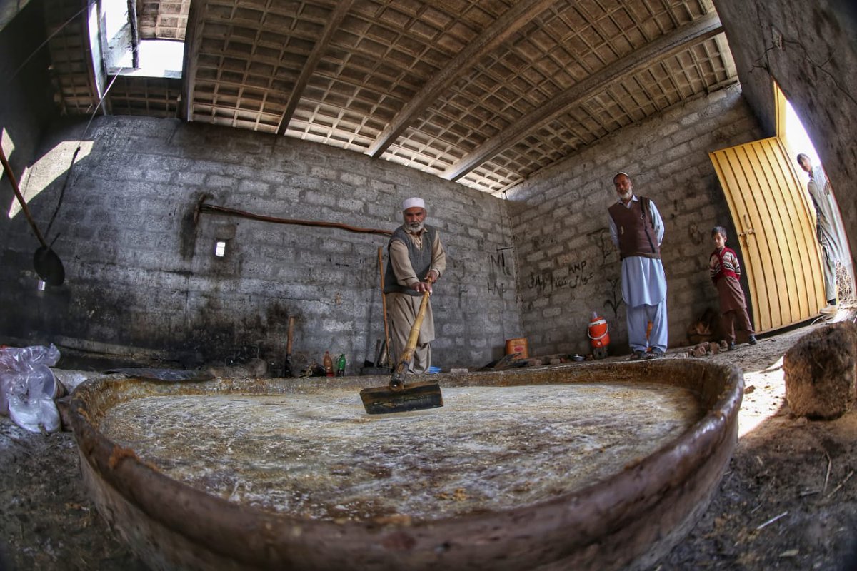 3/GUR & GAANRAIAs the juice in Karhay boils, froth of wood particles & other impurities called Kheeray is skimmed offAs jhook-mar’s fire rages on, with constant stirring piping-hot sugar stew thickens, turns golden & is reduced to about 1/3 of original volume in a few hours