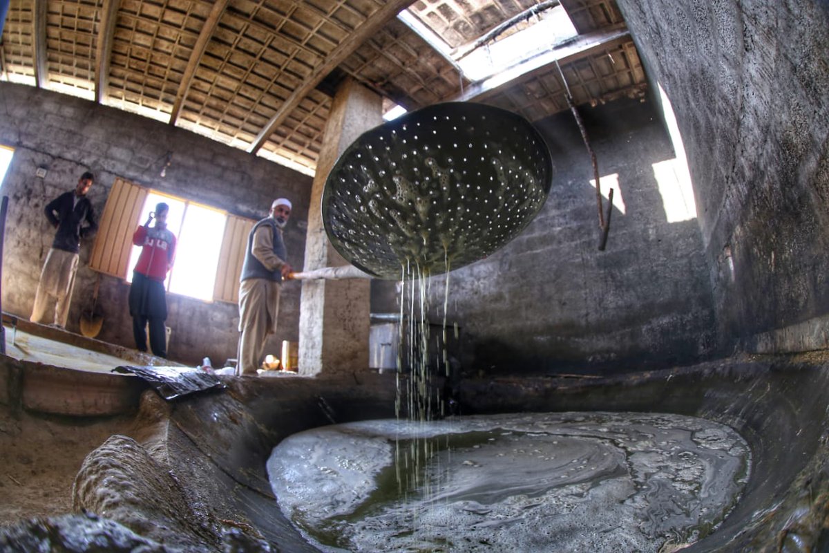 3/GUR & GAANRAIAs the juice in Karhay boils, froth of wood particles & other impurities called Kheeray is skimmed offAs jhook-mar’s fire rages on, with constant stirring piping-hot sugar stew thickens, turns golden & is reduced to about 1/3 of original volume in a few hours