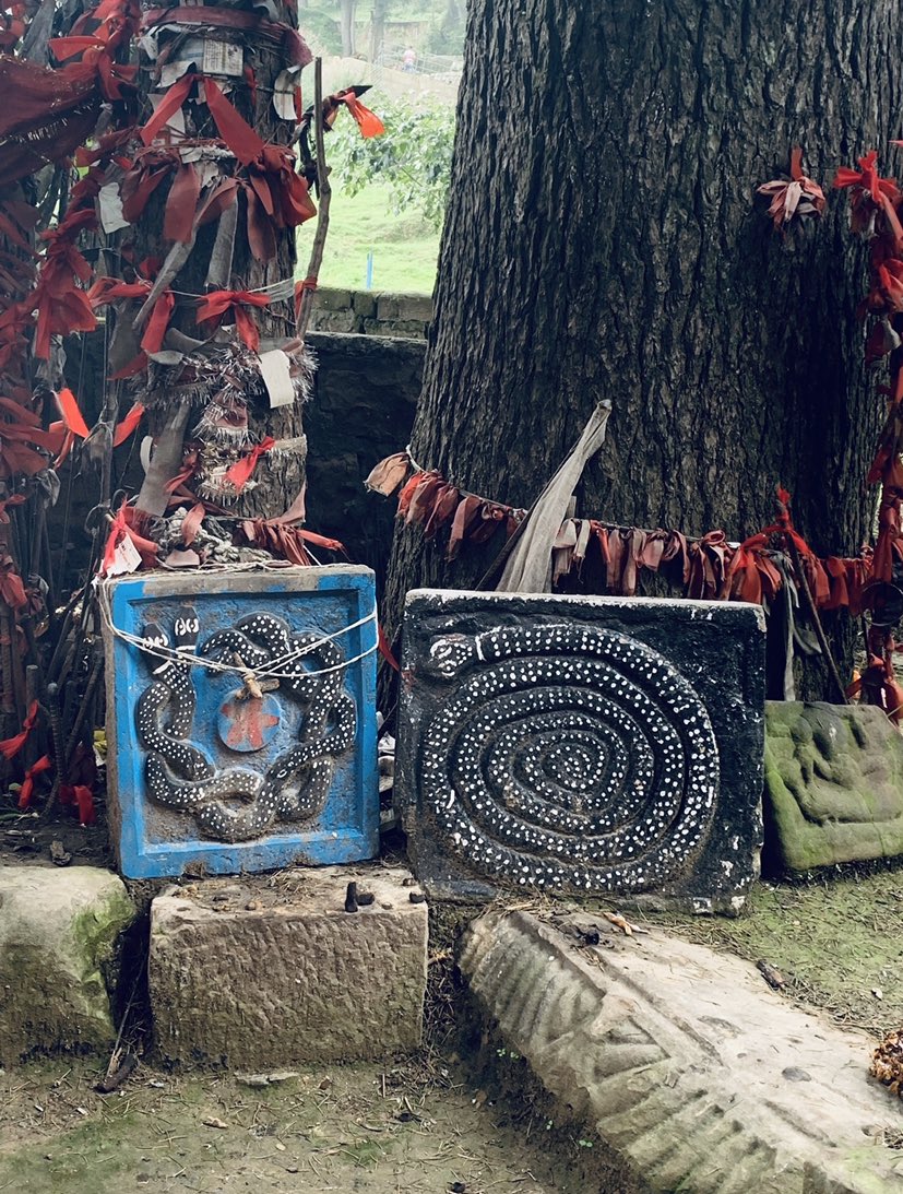 Maybe less architectural marvels of Temples because of countless invasions a frontier region sees, but countless deeply moving stories of strong faith in face of the worst.Naag Pujan is an ancient faith tradition of  #JammuRegion Vasuki Naag being the Aadidev. नमोस्तु सर्पेभय: 