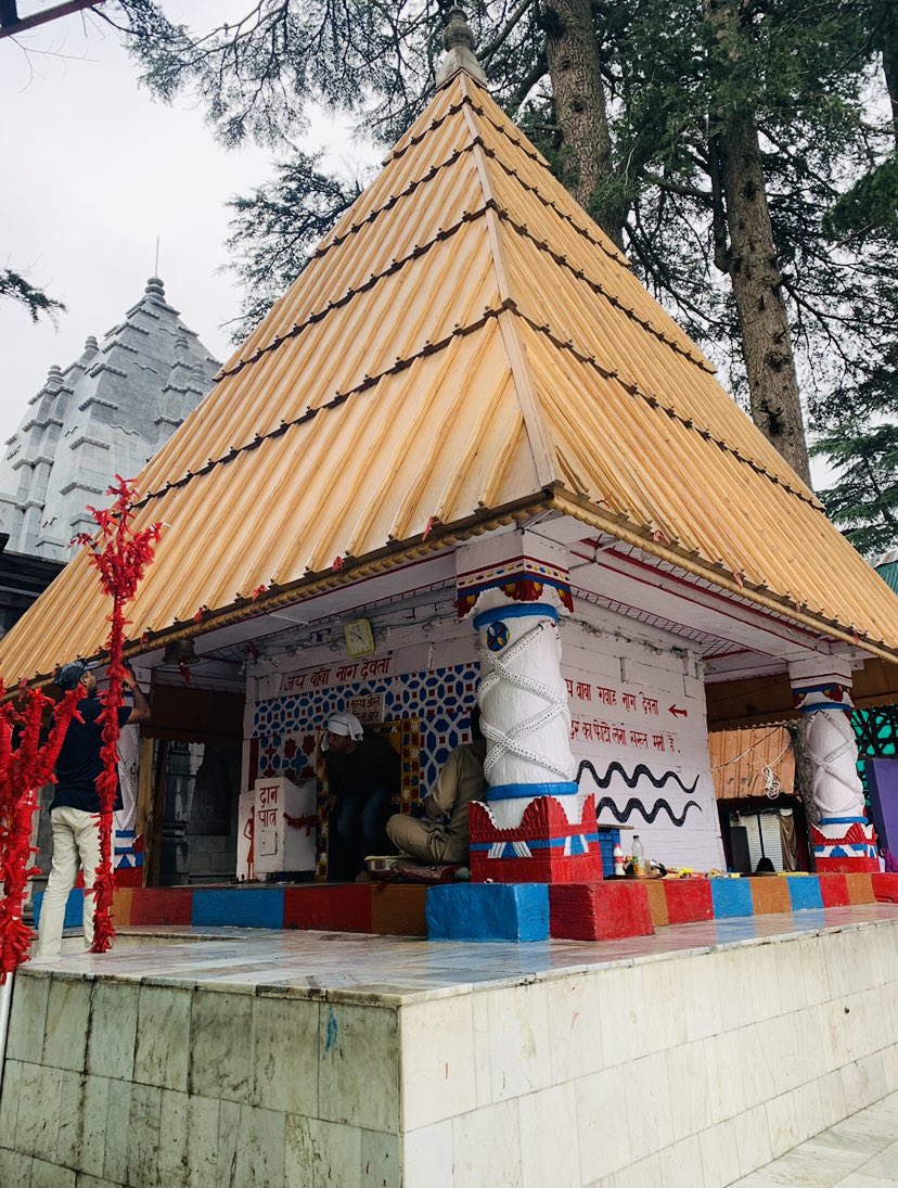 Maybe less architectural marvels of Temples because of countless invasions a frontier region sees, but countless deeply moving stories of strong faith in face of the worst.Naag Pujan is an ancient faith tradition of  #JammuRegion Vasuki Naag being the Aadidev. नमोस्तु सर्पेभय: 