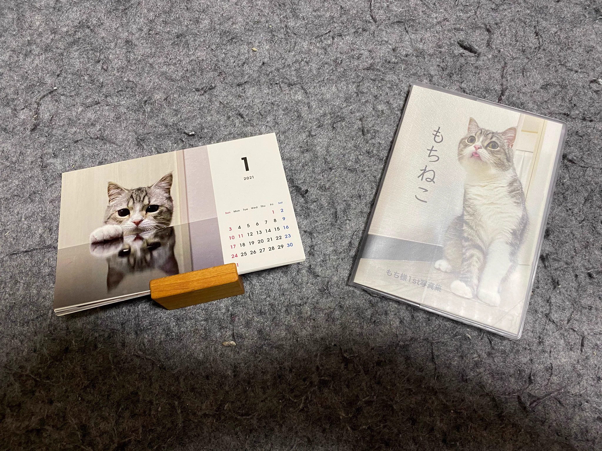 @catmotimaru いつも可愛い姿ありがとうございます😊待望のもち様写真集が届きました！ 