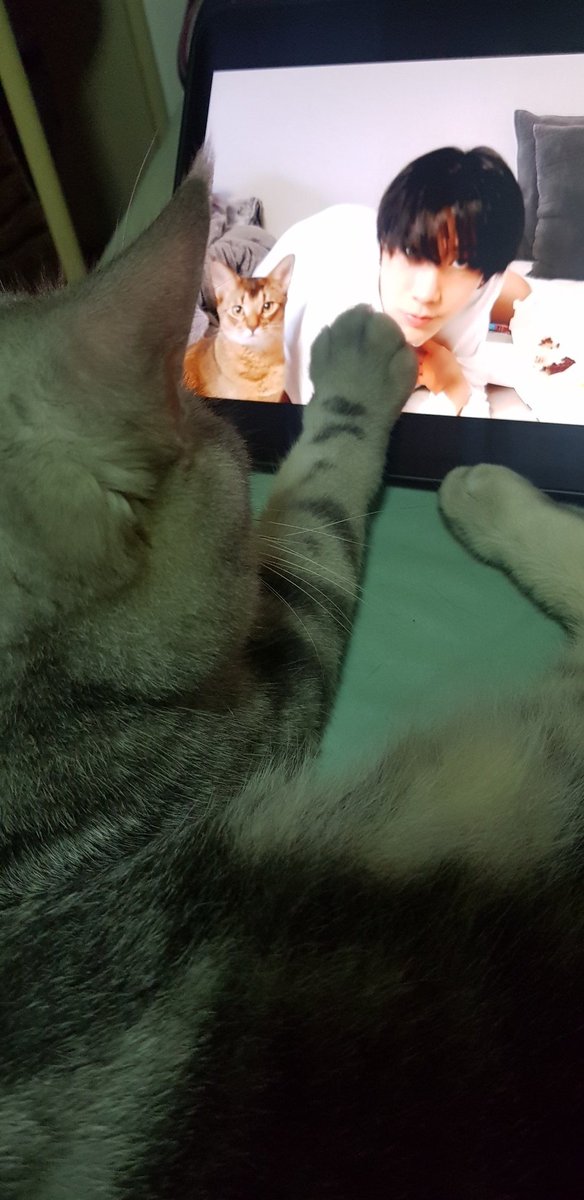 beamisnekomama's tweet image. ไหนบอกให้มือละจะได้กินขนมมมม 🤔 #KitTENCamReact