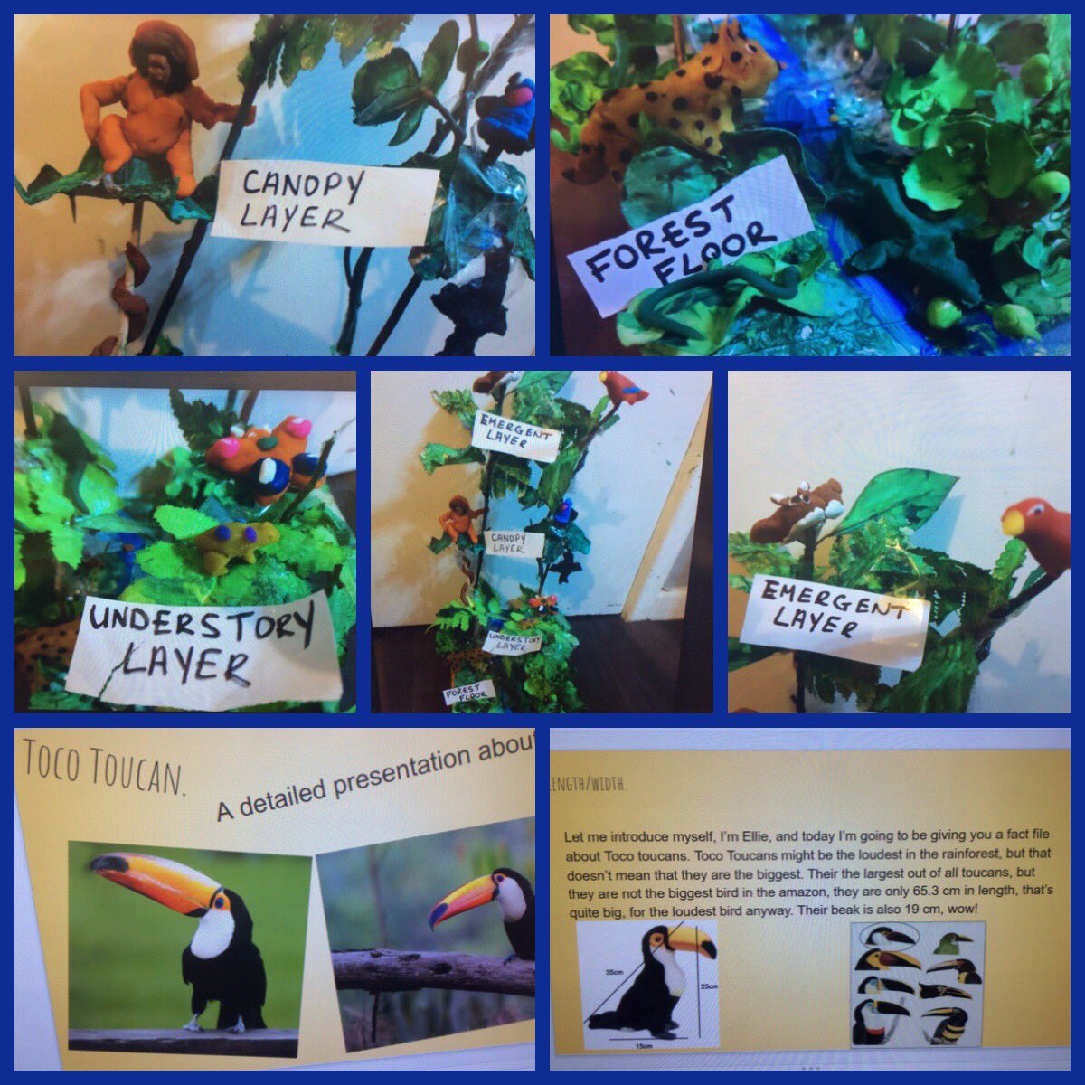 PPSAwyr's tweet photo. Some more fantastic work that has been handed in this week & completed in class ππΌπβΊοΈ @Phip_Primary #phiptopic π―π¦ππ΄πΏ https://t.co/cKyVxcztzu