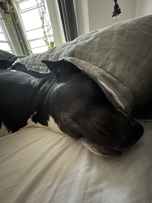 anyway. here&rsquo;s what matters to me https://t.co/DyureSd7zh