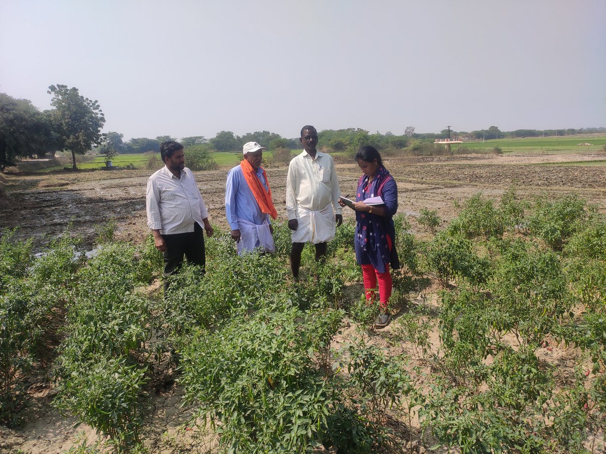 Prathib77972783's tweet photo. @CNarayanpet @harichandanaias @MJSudhakar7  collecting crop sown details of yasangi season in Chittanur vill marikal mandal narayanpet district https://t.co/fNgPzuwdwP