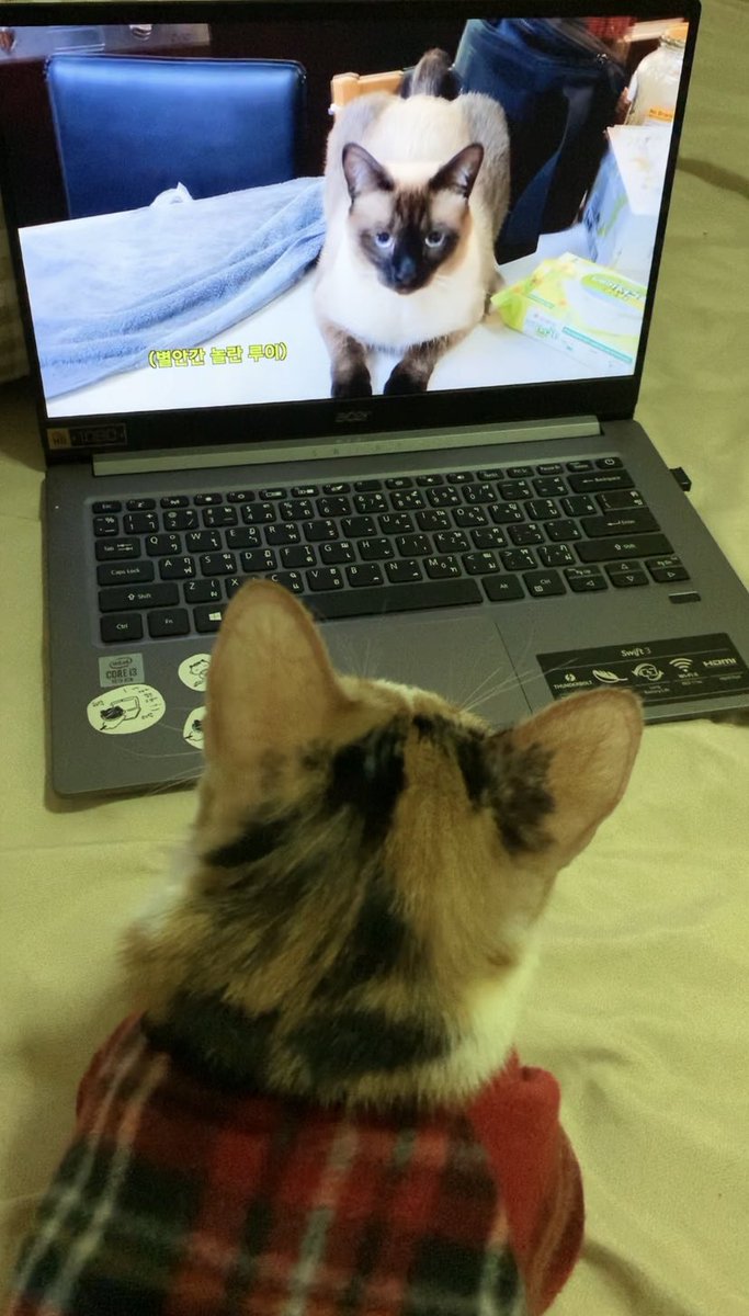 annjinda's tweet image. เธอเชื่อในรักแรกพบหรือเปล่า ลูอี #KitTENCamReact