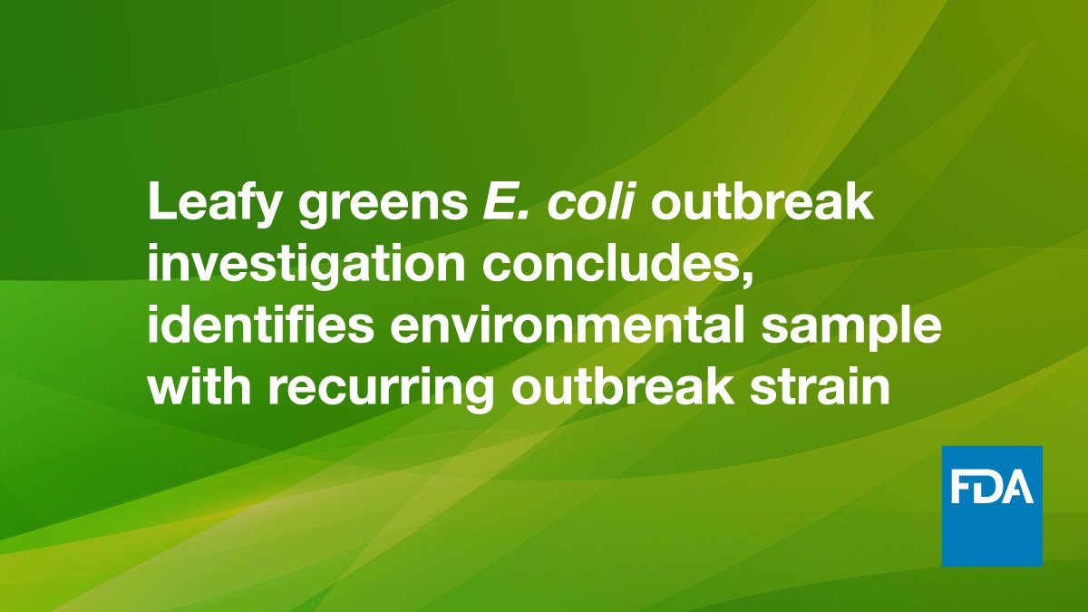 FDA has completed our investigation of the 2020 leafy greens E.coli outbreak. We found the presence of a recurring strain of E. coli in the growing region, which could serve as a potential source associated with future contamination events. go.usa.gov/xA6TD