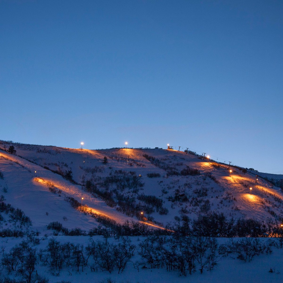 ski_hesperus's tweet photo. Tubing is back!
Families and those young at heart will enjoy our popular tubing hill with groomed lanes on the perfect pitch. Join us tomorrow evening from 4pm-9pm for our opening day! https://t.co/VjYB4jsZZM