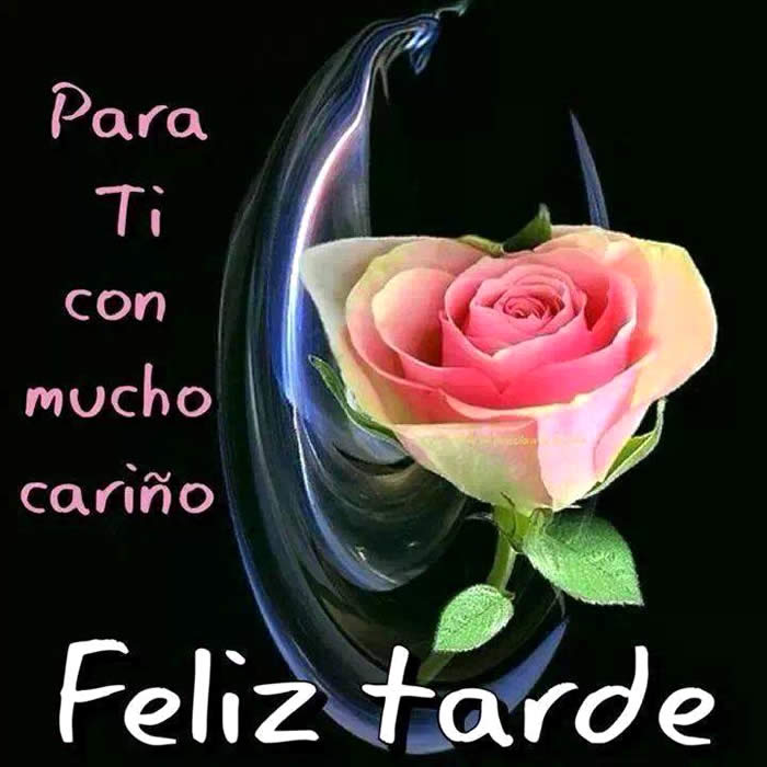 comando especial tweet media