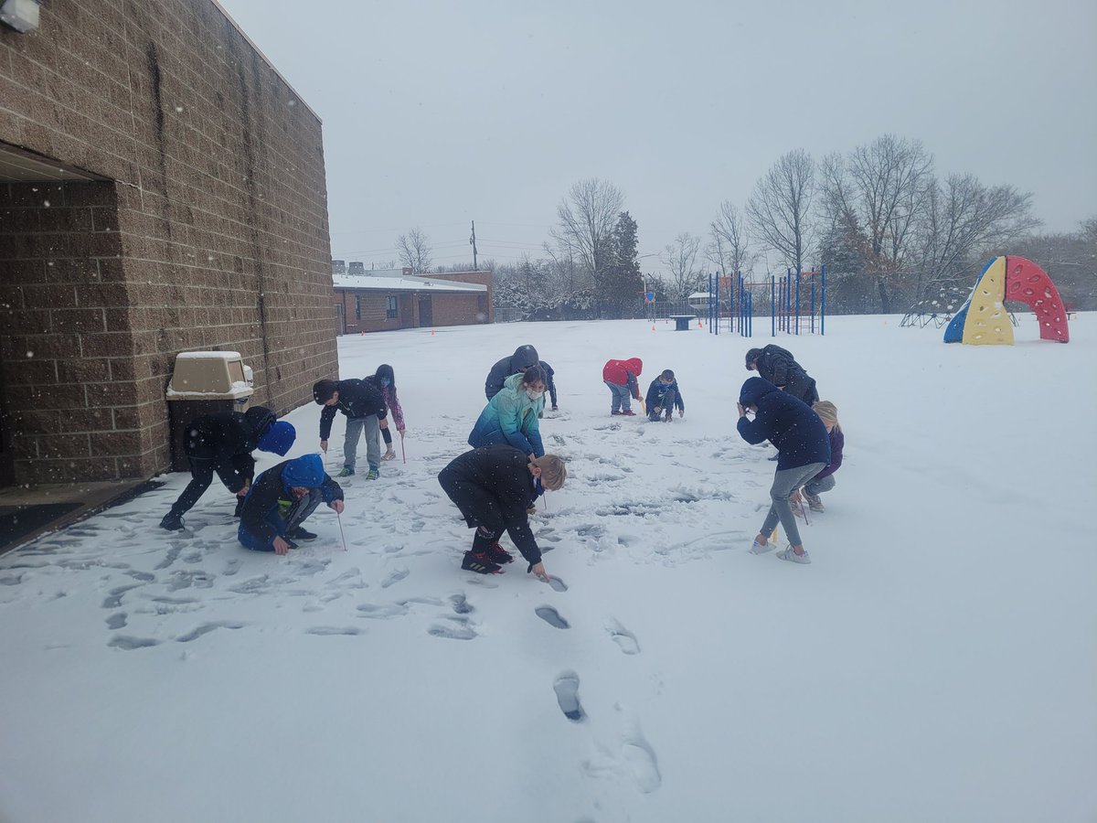 msholtsclass's tweet image. What happens when you have school and it is all snowy?! You measure the snow and then have a grade level wide snow ball fight! So much fun!! #2ndgradeisthebest #snowdayfun #measuring