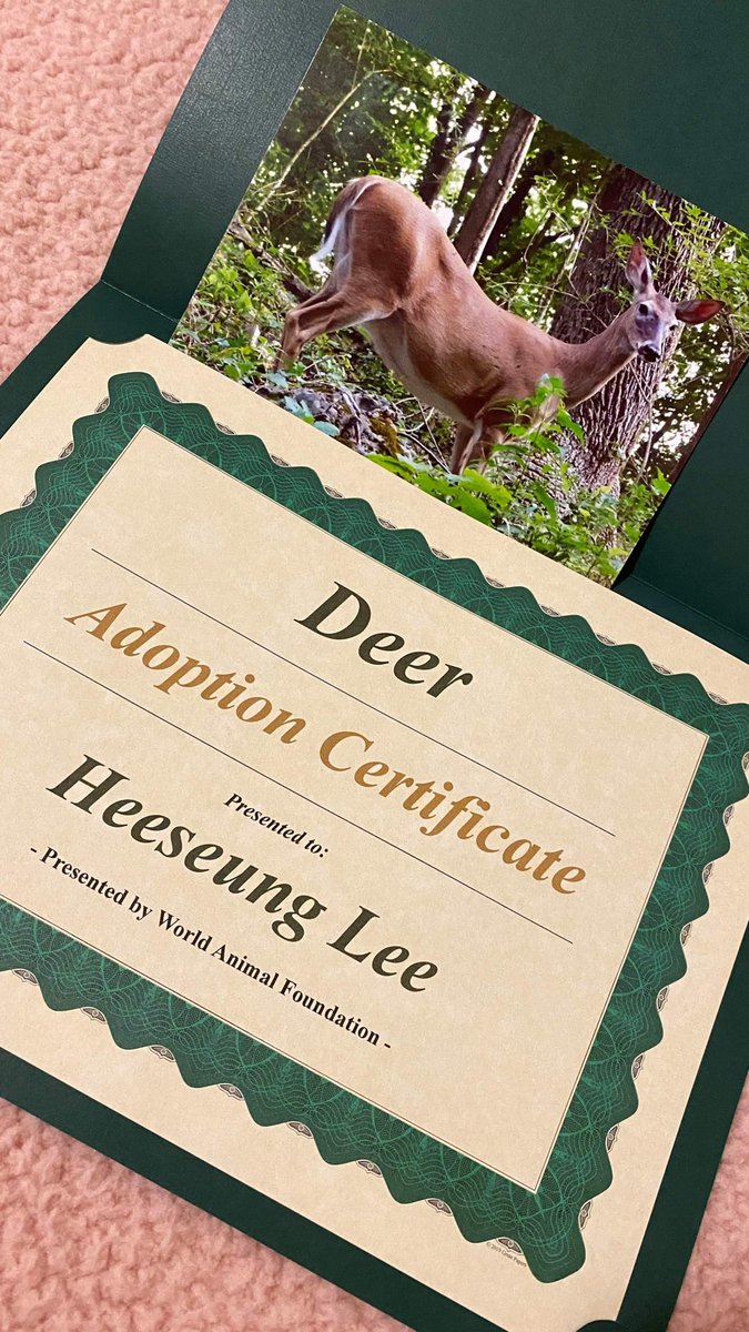 antaresraphy's tweet photo. You became my comfort &amp;  someone who heals me alot. Thank you for bringing so much joy &amp; happiness in my life. 
Here's a little "Thank you" gift for you, for everything and for inspiring me to keep going. ily♥️🦌

@ENHYPEN_members 
@ENHYPEN 
#HEESEUNG #희승 #always_together #Deer https://t.co/A3xp2rRrfj