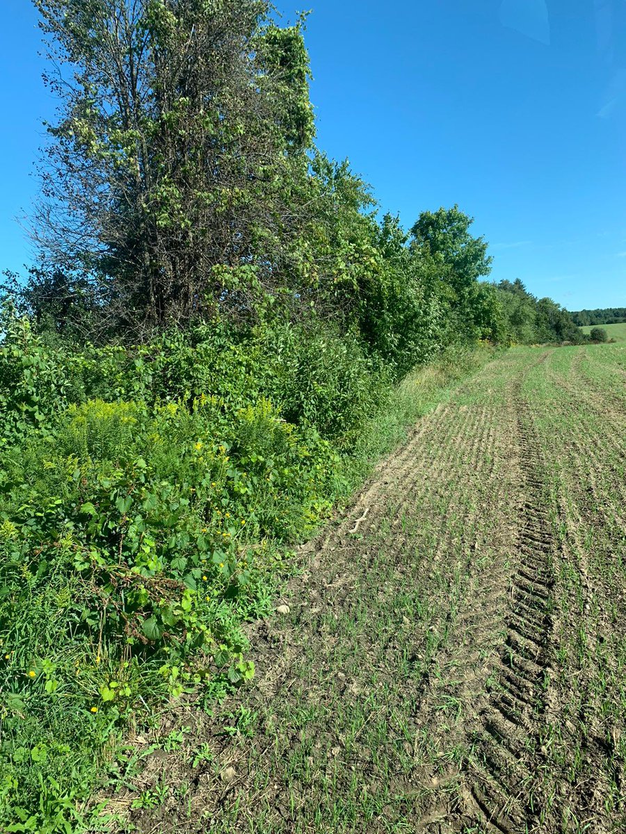 dbachercntrctng's tweet photo. Show us your fenceline and we will show you a free quote!

Text, call 226.646.7830
or Email diefenbachercontracting@gmail.com

Tired of dealing with fenceline weed pressure, broken mirrors, and lost acreage? We have a cure, and it may not cost as much as you think. https://t.co/Zy8XL2NK4H