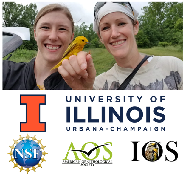 Thank you for checking out this thread! Please follow other members of the team for more warbler research!  @cowbirdlab  @JaniceEnos2  @birdsoundscapesThanks to  @skwinnicki for helping stake nests and for the video. Please post any questions you have in the thread! #AnimBehav2021