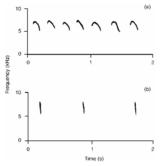 We tested if females alter their future behavior adaptively in response to seets. Specifically, we tested if females attend to nests more closely at dawn following playbacks of seet calls (a) the prior day. We used anti-predator chip calls (b) + silence as controls  #AnimBehav2021
