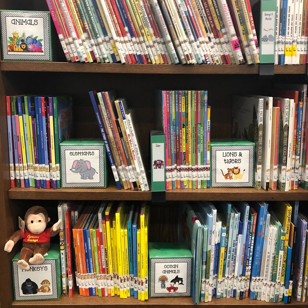 TechKnowTaylor's tweet photo. @Keenanlions are loving the new organization of our picture books. Sorting by topic makes it much easier for the younger students to find what they want! #ShelfieDay @MISD_Libraries https://t.co/nzU27pBcT9