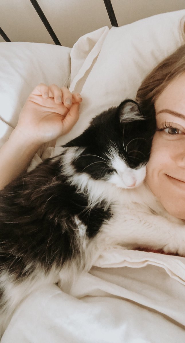 lizzycorbs's tweet photo. the literal loml https://t.co/0lxRdL8wkw