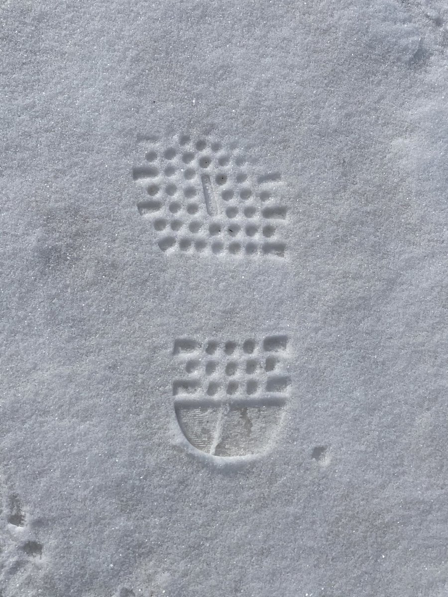 MarshallSprings tweet media