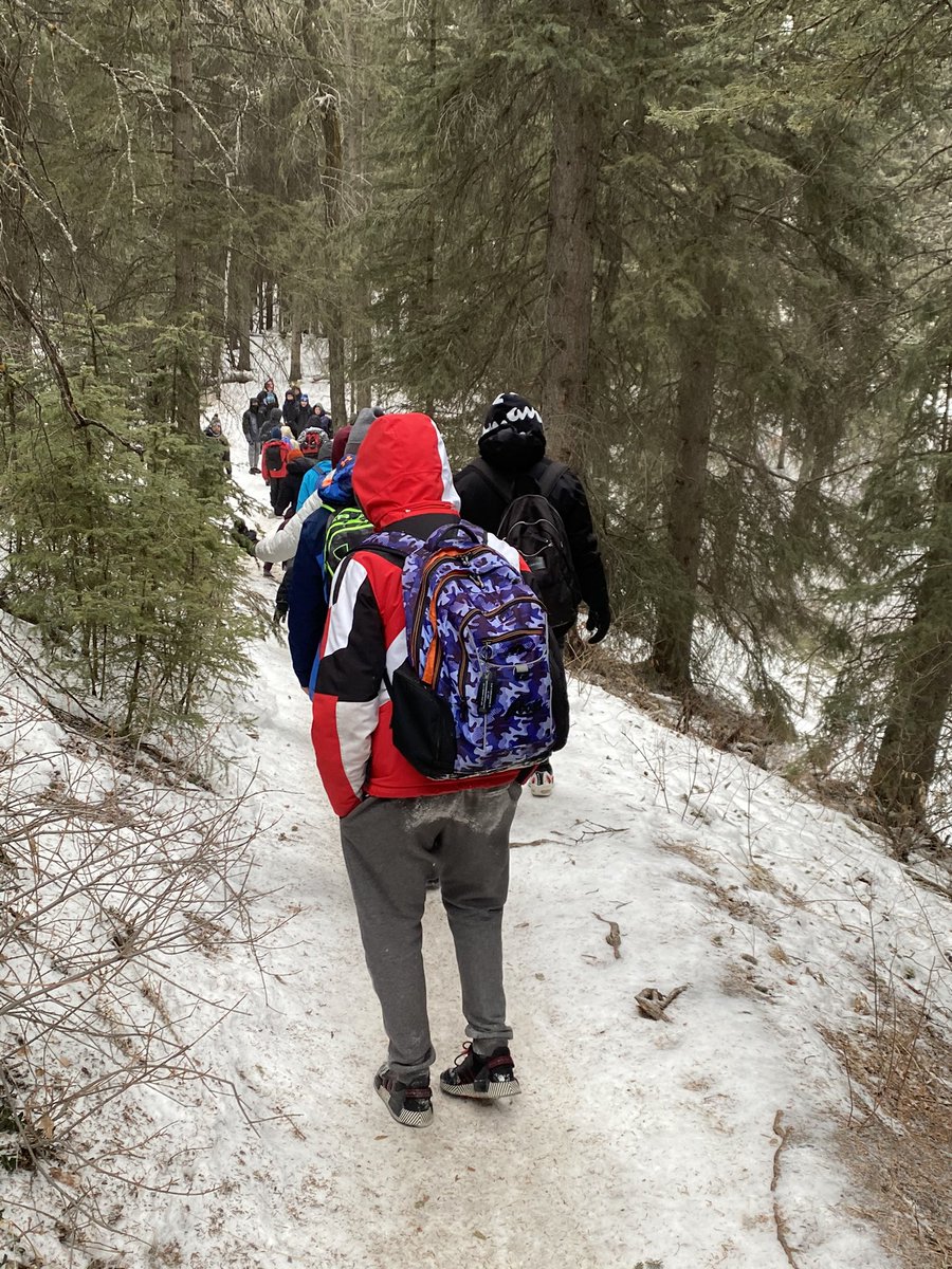 MarshallSprings tweet media