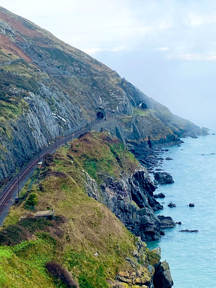 AnnaleaMagill's tweet photo. Todayโs adventure with the kids, dogs and my dad out to stretch the legs #wicklowwalks #cliffwalk #100daysofwalking #keepingmesane #outandabout https://t.co/aheHl0lKNT