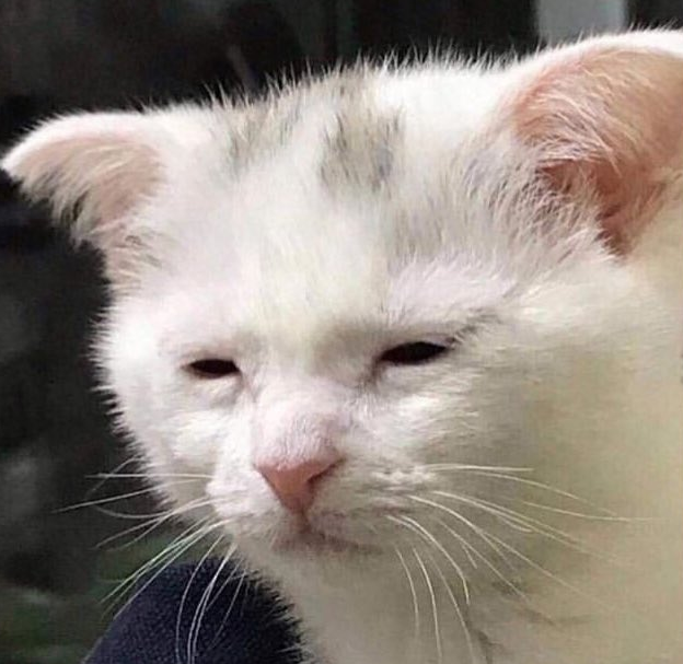 21m4gn3__'s tweet photo. #dreamwaswrong
dream: idc if u lewd me
stans: OH SO YOU SUPPORT CP?? IS THAT IT??? U SUPPORT CP?? HUHH????
what??????????? https://t.co/LJyiVB068b