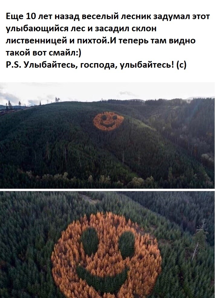 izbrannoye's tweet photo. https://t.co/PQQYkE4YFw
