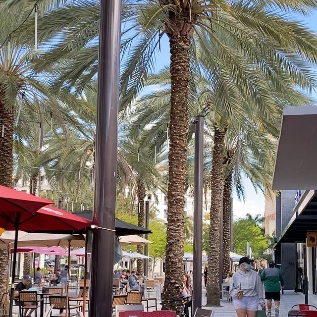Have you checked out what's new in Downtown Coral Gables? #ExperienceCoralGables <a href="/zoeyreva/">.</a> @lucaosteria @hbenitezart @glorialorenzoarte <a href="/sushisakemiami/">Sushi Sake</a> Coral Gables Public Library Annex @gramercymia @miamialkalinewater @seasycoralgables Tamaria Jazz House rb.gy/4bpn7e