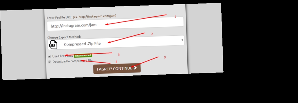 download private instagram photos zip file / Twitter