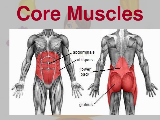 8. Train your core.Your core is NOT just your abs. It also includes your lower back (erectors), and glutes. Having a strong core is vital to having control over your body. It will keep you upright and mobile, as well as having a strong center of gravity.
