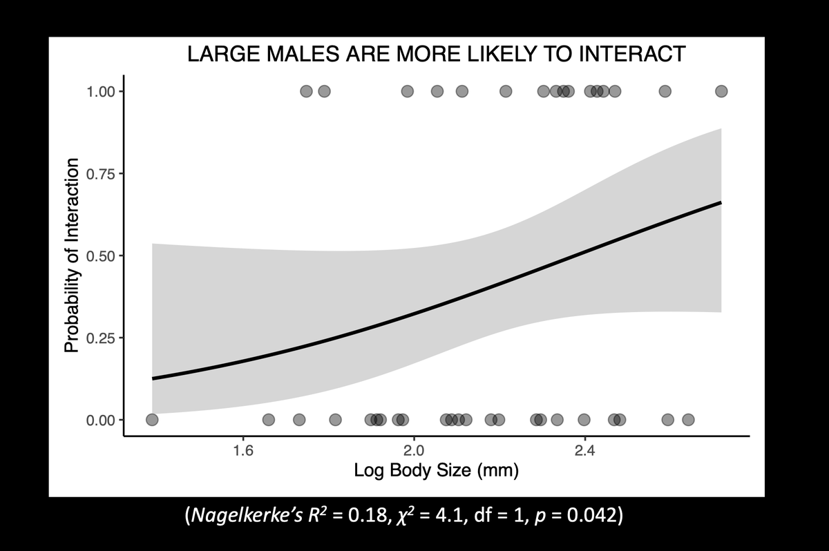 Do large & small males behave differently? In standardized fight trials, we size-matched 2 males and placed them with a female. Large males were more likely to interact & fight with each other, but both large and small males had equal probability of mating  #Animbehav2021