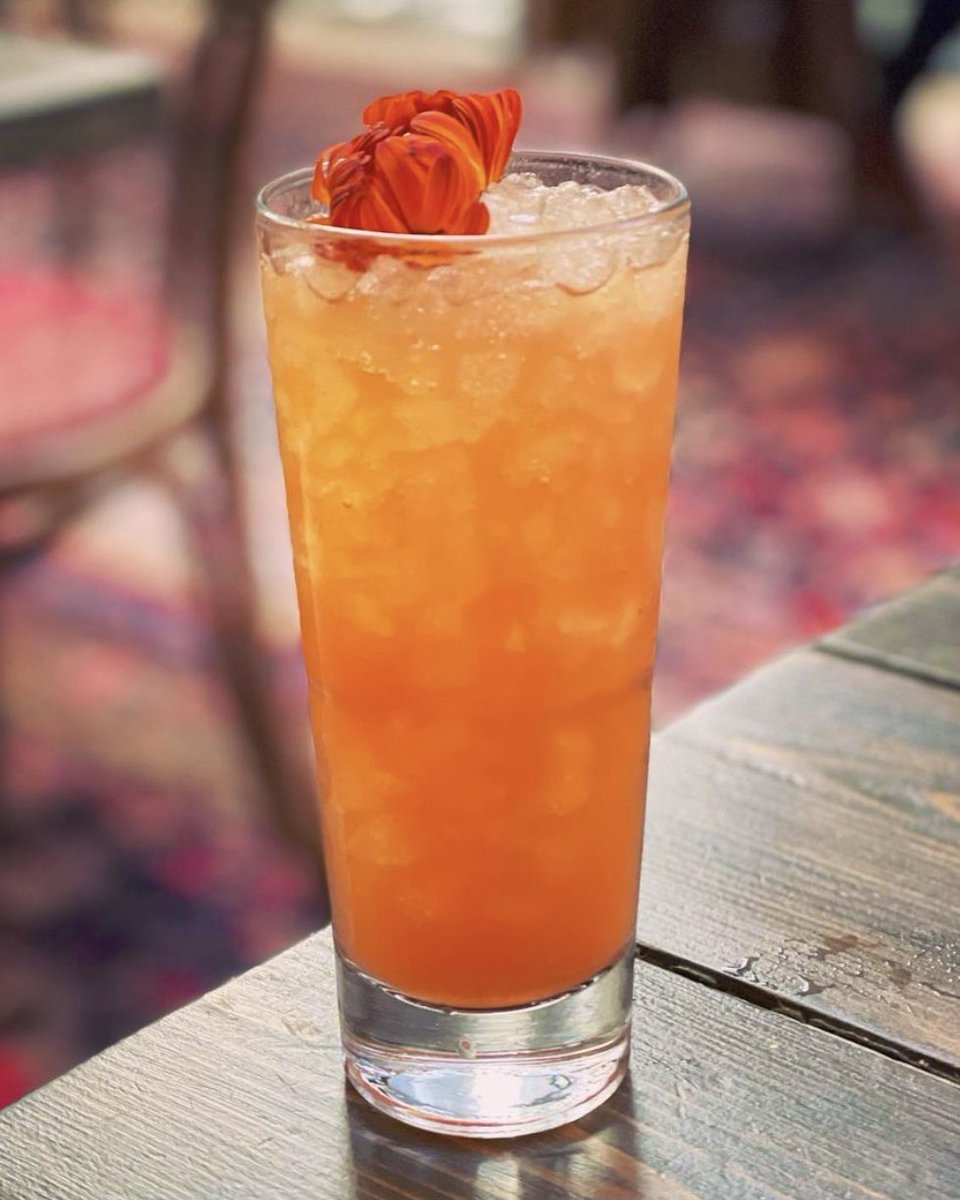 Color your day bright... And your buzz brighter 🌈 Book your vibrant cocktail vacation at BeatnikOnTheRiver.com 🍹🌼

photo: @foodiefollowings