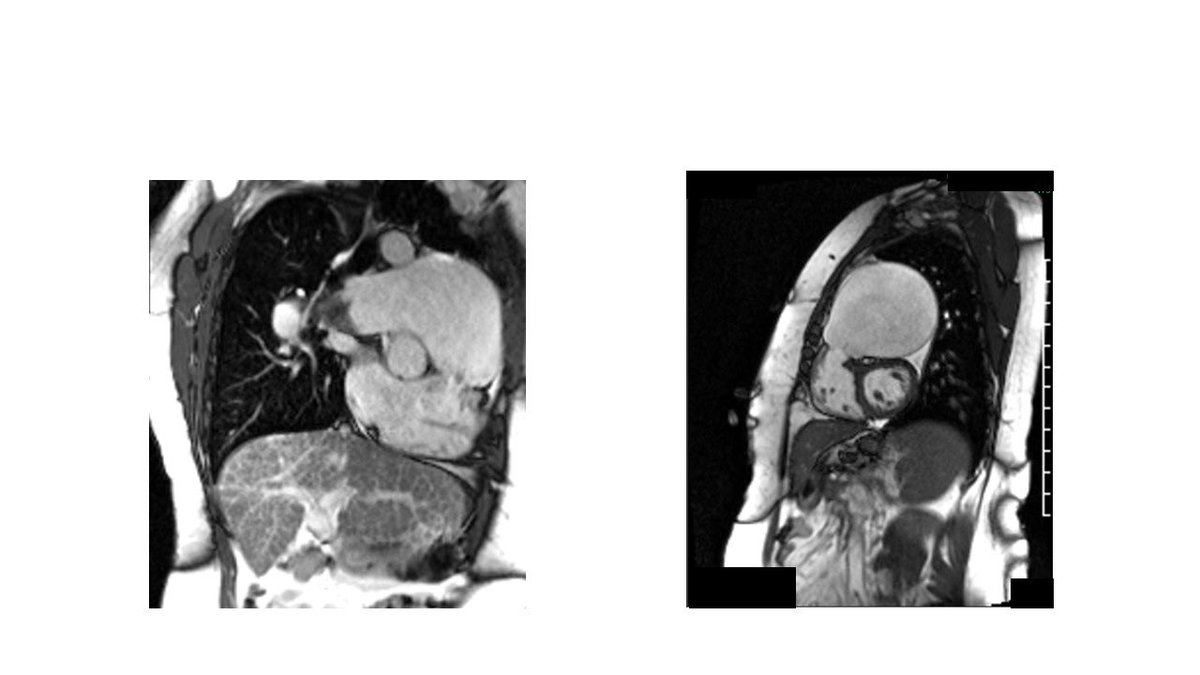 Panagiota Christia tweet media