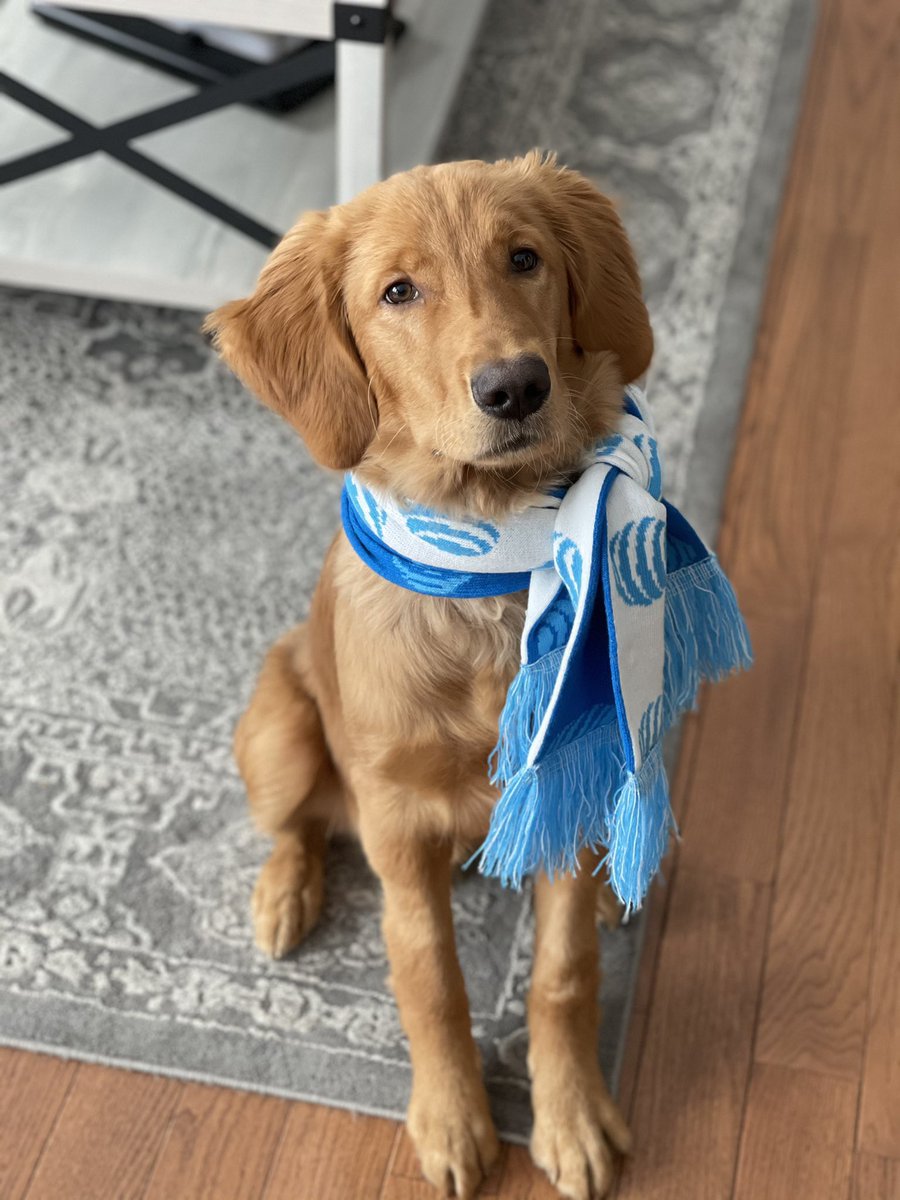 It’s a cold, snowy morning in New England! ❄️☃️ 

Make sure you bundle up &amp; don’t forget about your furry friends! 🧣🐶

Thanks <a href="/JamesMarinAtt/">James Marin</a> for sharing this adorable photo of Max! 

#OurNE #LifeAtATT #NewEngland