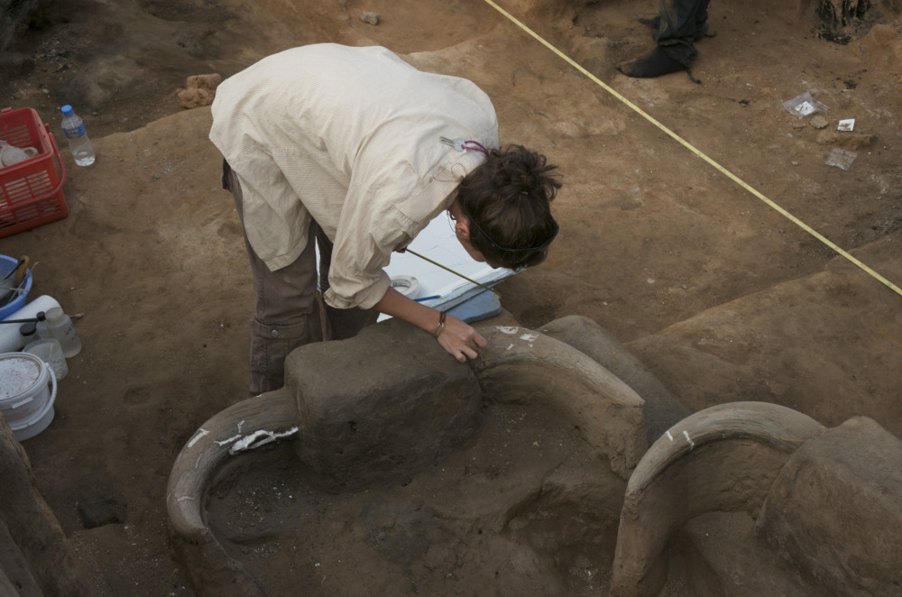Conservators can also be active on excavations. Here's Duygu Çamurcuoğlu working at Çatalhöyük in Turkey. You can read more about her and her work here:  https://duygucamurcuoglu.com/cv/ 