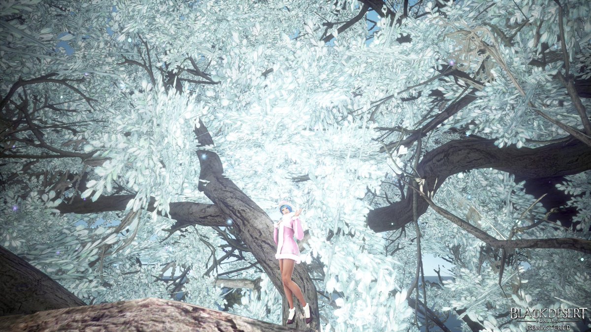 La Cyclone Dandelions体験中 o Cyclone La Twitter