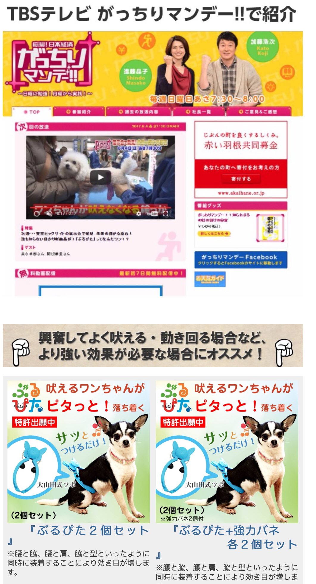 七尾旅人 Twitter પર 血流の流れが止まって危険だから10分以上つけるなと但し書きがあるそうだ つまり締め付けている ぶるぴた のデザインに違和感を持つことが出来ず 単なるツボ押し機としてあっさり是認できる人は 犬を飼ったことがない または犬を愛したこと