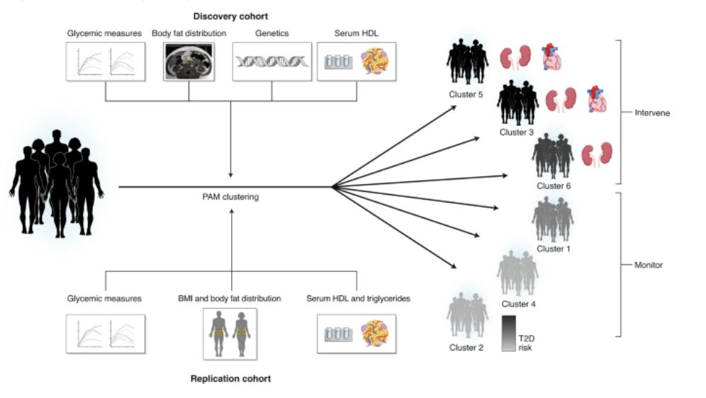 BlogClinical's tweet image. Pathophysiology-based subphenotyping of individuals at elevated risk for type 2 diabetes - Nature Medicine - clinicalbioinfo.com/2021/01/pathop…