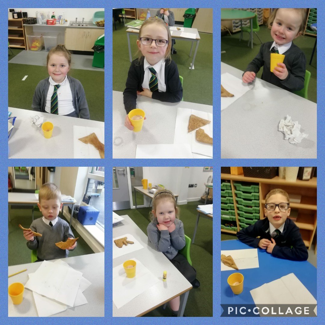 MrsWYear2Wrens's tweet image. Wednesday is treat day thanks to our amazing cook in school Bernie 💜  making sure the children in school have a lovely hot chocolate and toast #absolutehero #cookswearcapestoo #weloveyoubernie