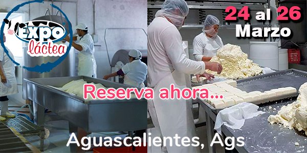 ExpolacteaMX's tweet photo. Cursos prácticos para quienes interesan dar valor agregado a la leche, evaluar,controlar, medir su calidad y mucho más ( Escuela de Lácteos y Análisis de Leche)...  #expolactea2021 https://t.co/XQA1nCB87y