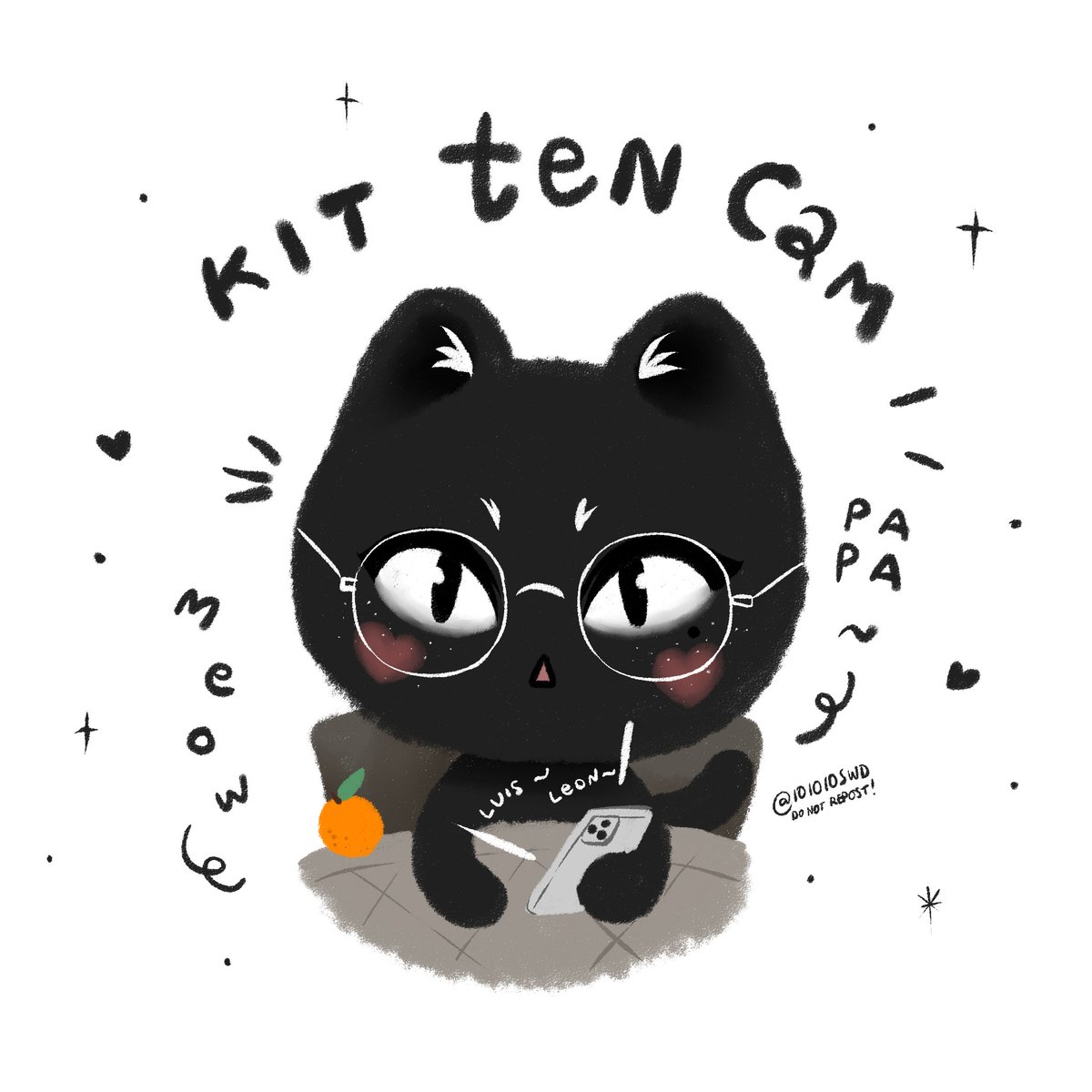 101010Swd's tweet image. 🖤🐱🍊 #KitTENCamReact #101010SWD